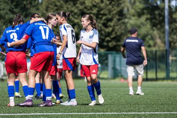 Bild 368 - wCJ Hamburger SV - FC Rosengarten : Ergebnis: 1:1